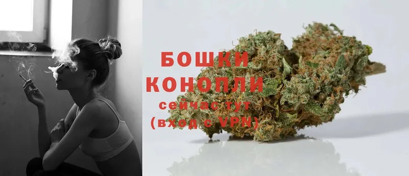 Бошки Шишки OG Kush  купить наркоту  Горячий Ключ 